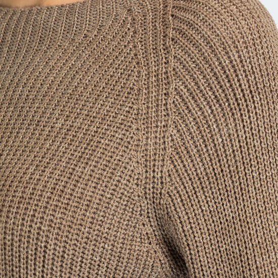 Bege Acinzentado